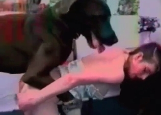 Giant dark Doberman drills her snatch so deep