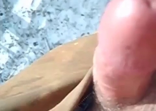 Brown mare is getting screwed in the anal