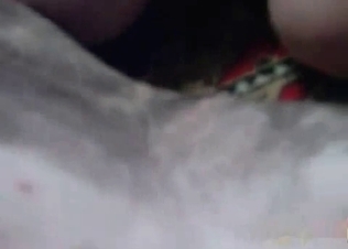 Enjoyable amateur porn with a doggy and zoophile